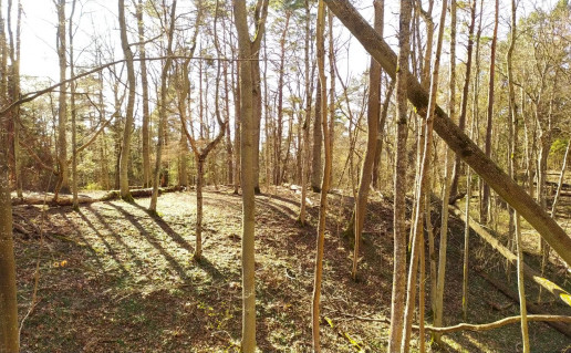 5_Kukutiskiu piliakalnis (2).jpg